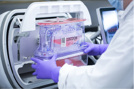 ��������VI-��Ʒ��ֵ������!